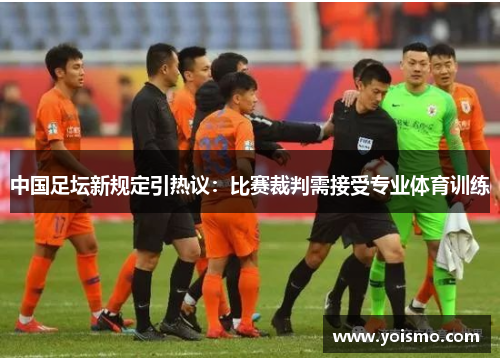 中国足坛新规定引热议：比赛裁判需接受专业体育训练